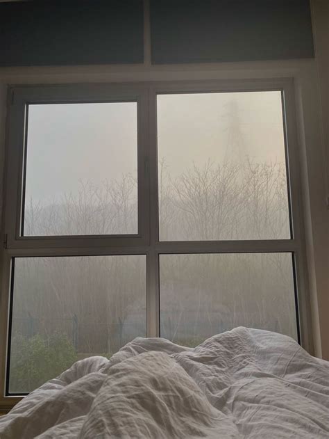 @foggy🌫️